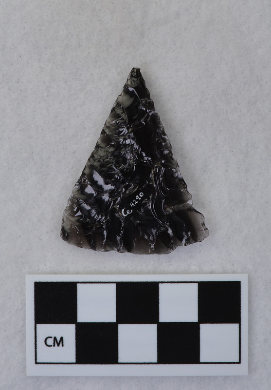 Triangular It looks as if there may be a start for basal notching on one side of the base. (JW)