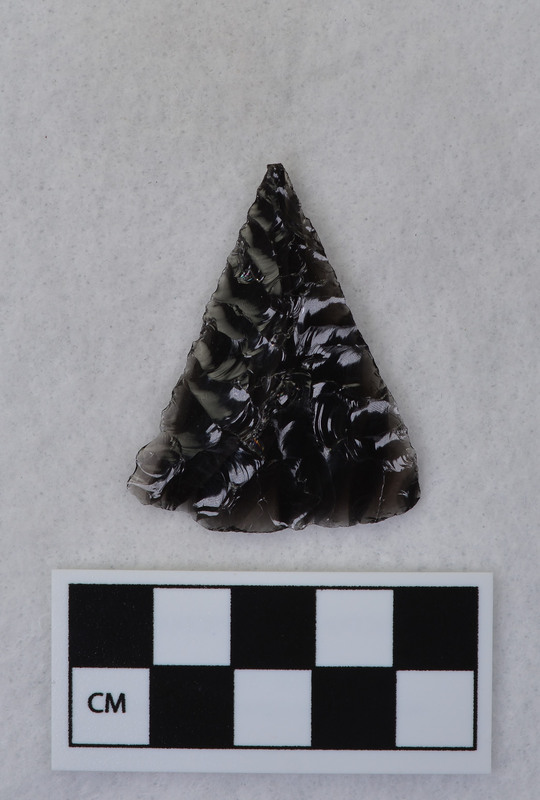 Triangular It looks as if there may be a start for basal notching on one side of the base. (JW)