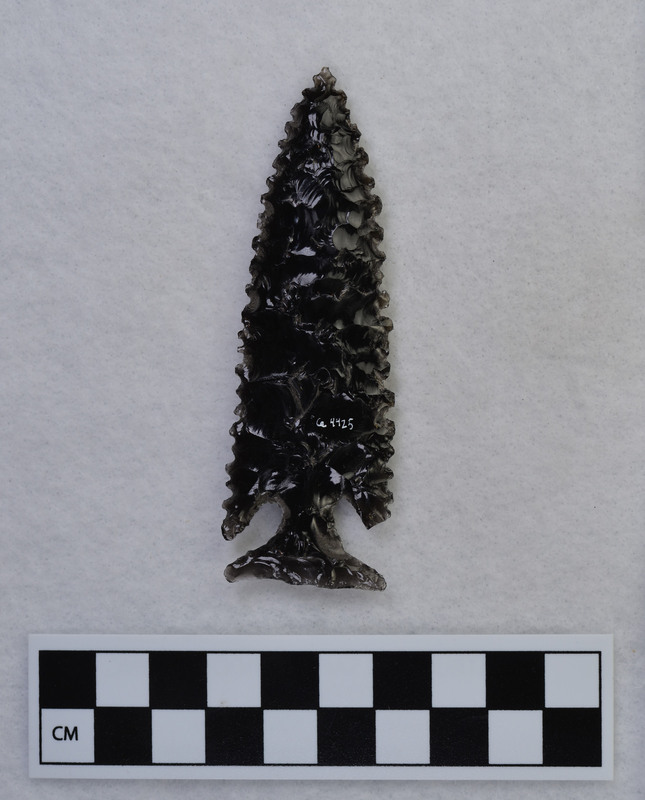 Large, corner notched, serrated