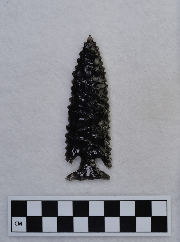 Large, corner notched, serrated