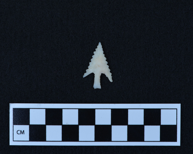 Barbed, stemmed, serrated