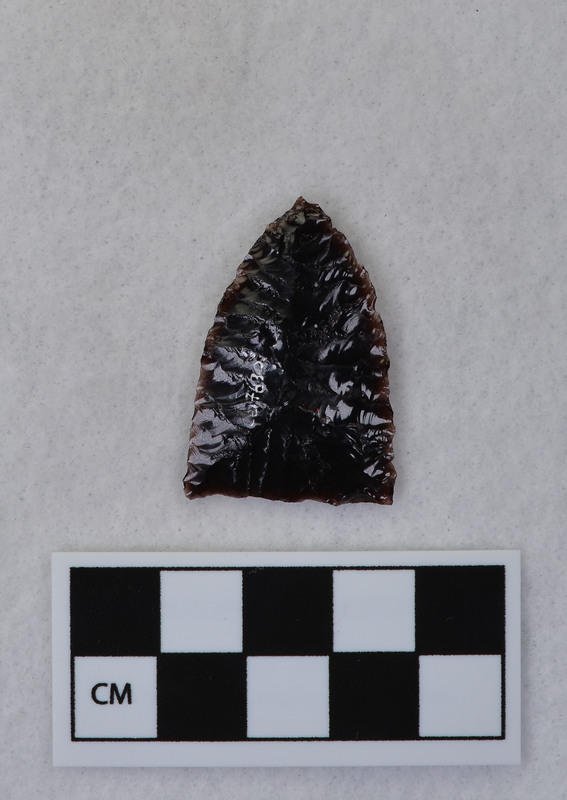 Triangular, parallel flaked