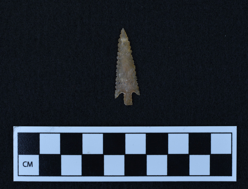 Barbed, stemmed, serrated