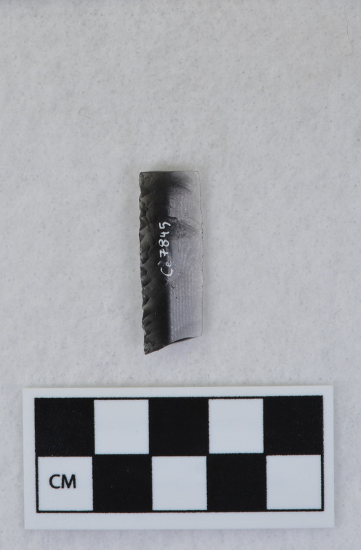 Prismatic, retouch on one margin of one face