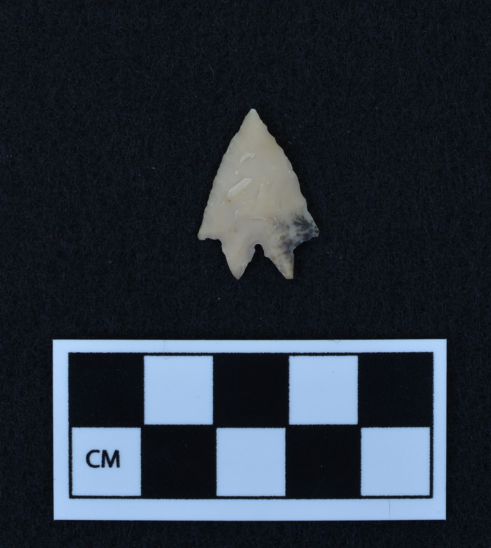 Stemmed, bifurcated base