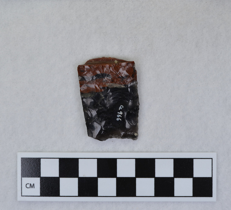 Broken distal end of Clovis point