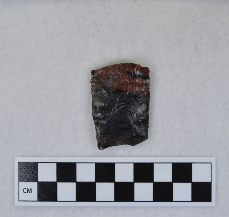 Broken distal end of Clovis point