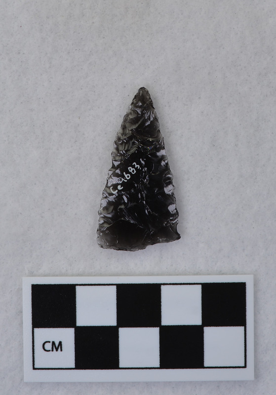 Exercise in Titmus flaking