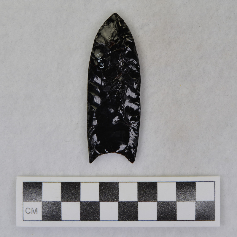 Clovis, ground full length of both margins