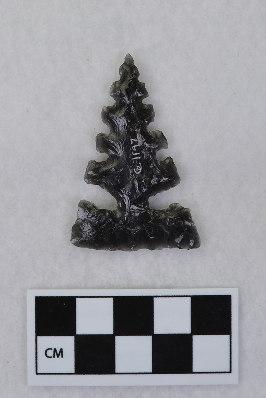 Side notched, serrated