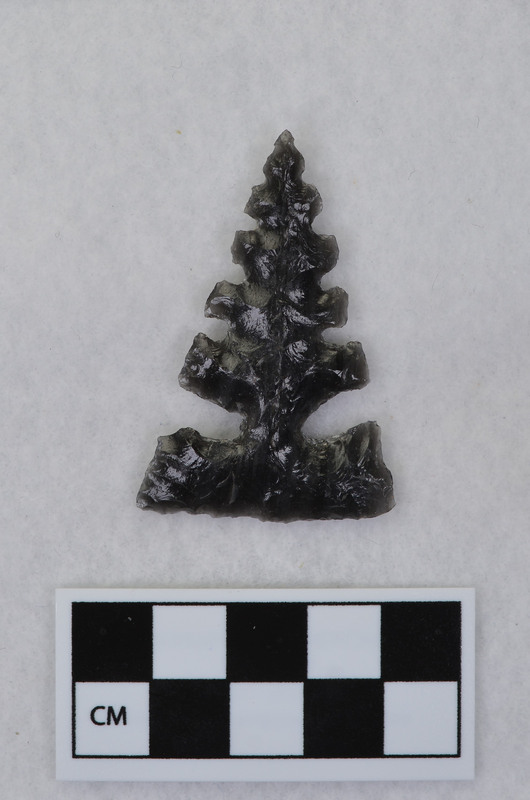 Side notched, serrated