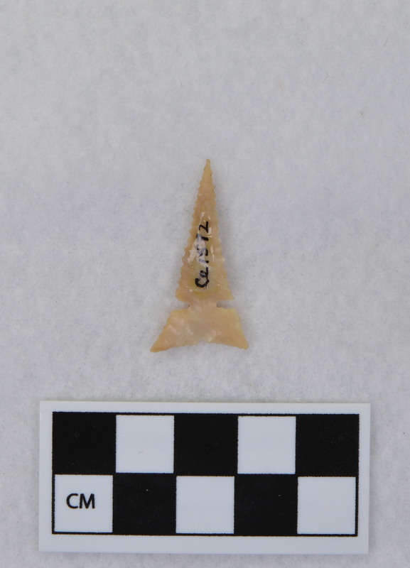 Side notched, serrated edges, heat treated