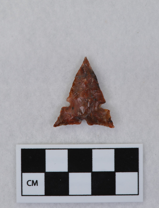 Heat treated, basal and side notched