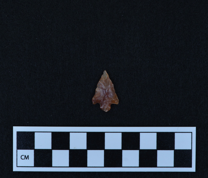 Heat treated, corner notched