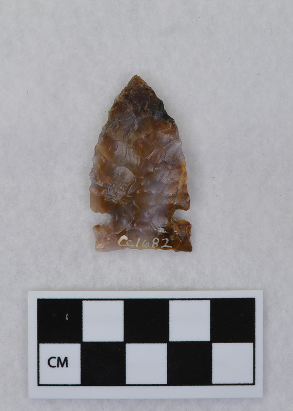 Heat treated, side notched