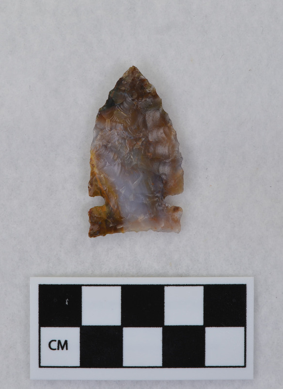 Heat treated, side notched