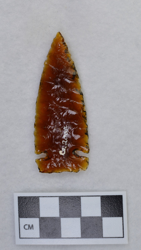 Collateral flakes, side notched