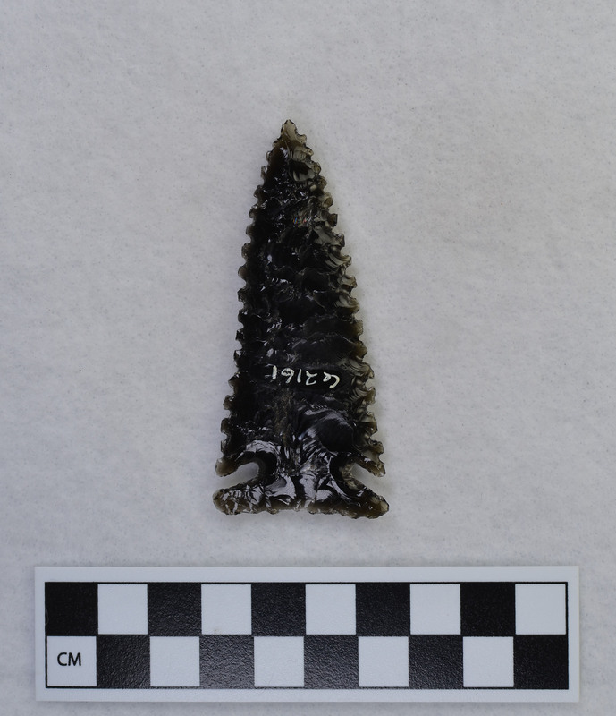 Side notched, serrated