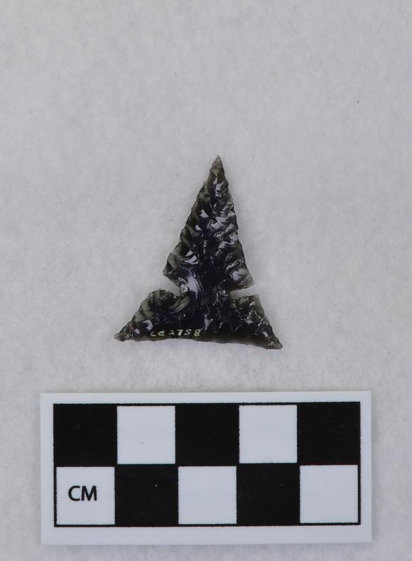 Triangular, side notched, chevron flaking