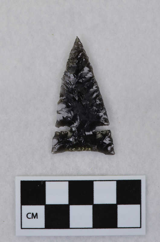 Large Desert side notch