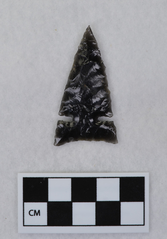 Large Desert side notch