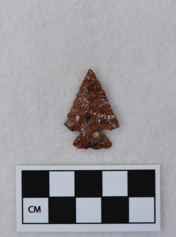 Corner notched, both ears broken during notching