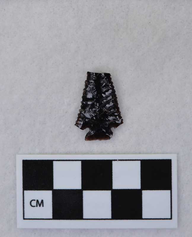 Serrated, tip and ears missing