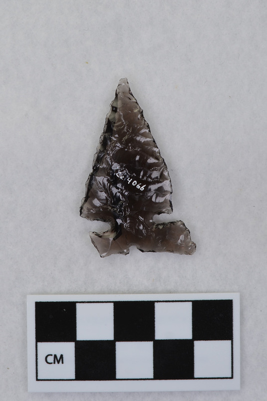 Side notched, one ear broken