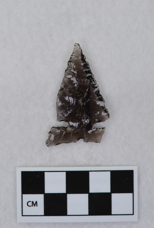 Side notched, one ear broken