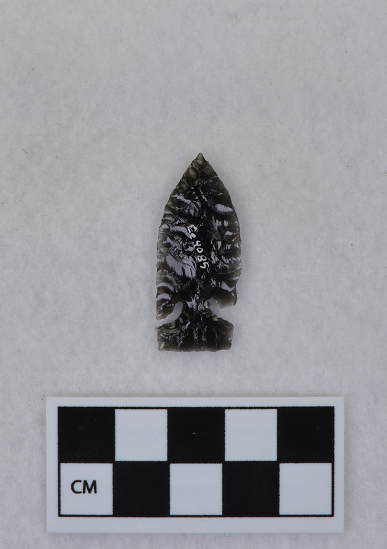 Side notched, one ear broken