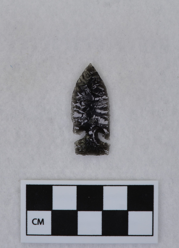 Side notched, one ear broken