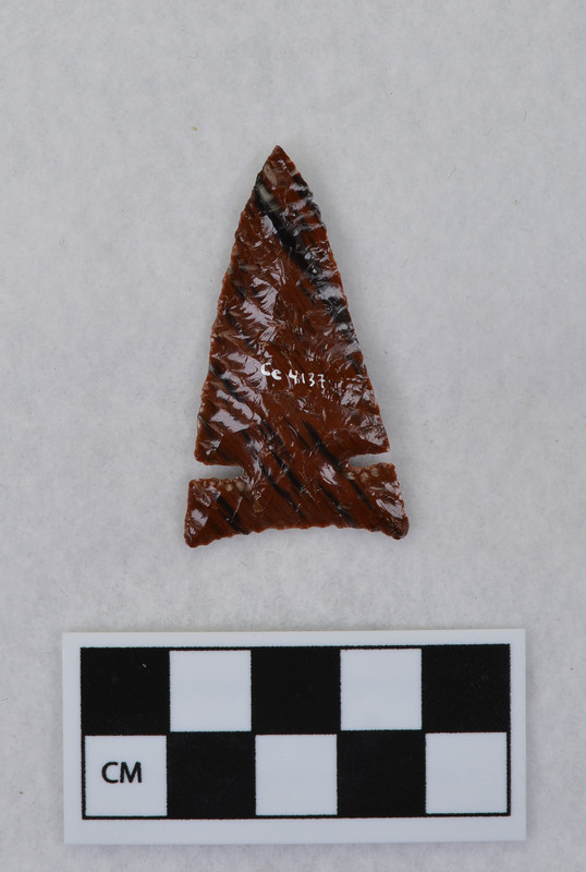 Similar in form to large Desert side notched