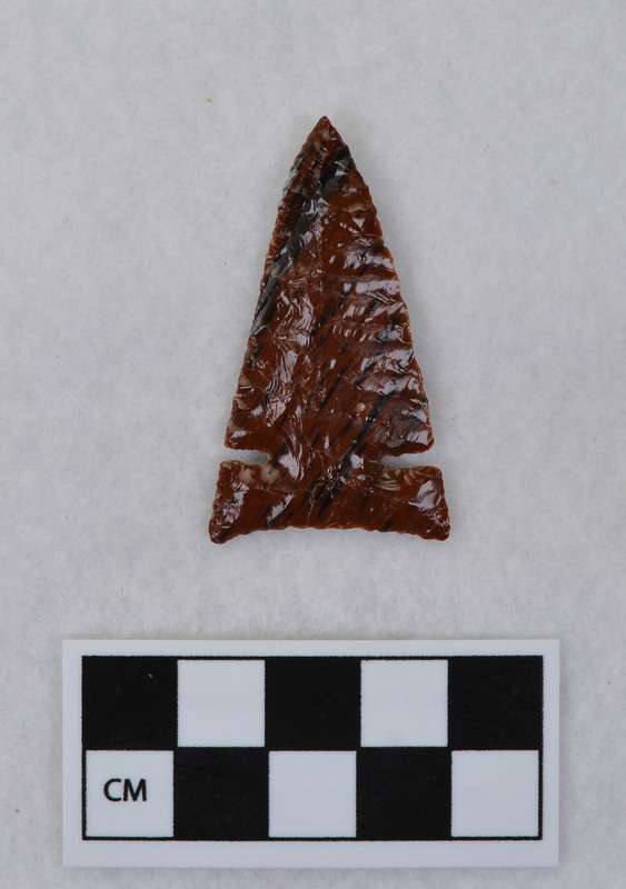 Similar in form to large Desert side notched