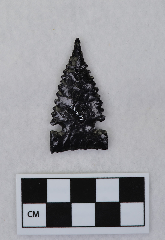 Serrated, side notched