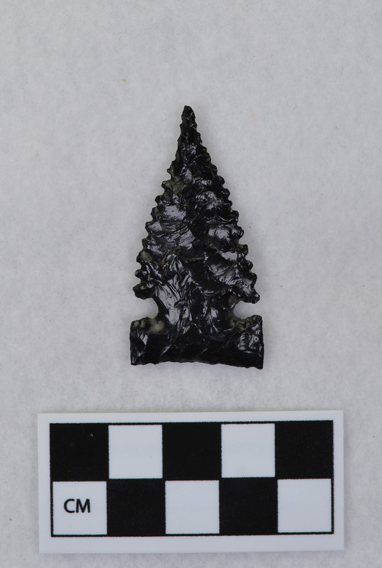 Serrated, side notched