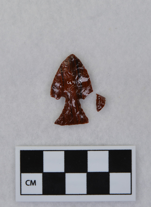 Corner notched, one ear broken