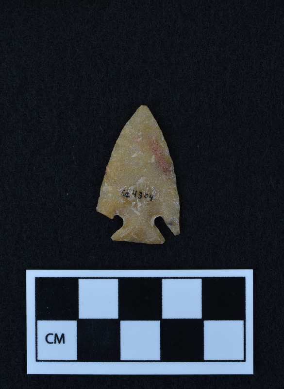 Corner notched, one broken ear