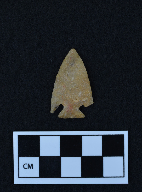 Corner notched, one broken ear