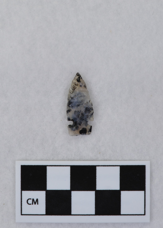 Corner notched, one damaged ear