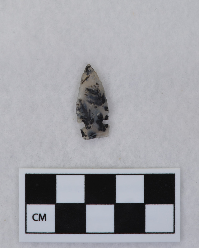 Corner notched, one damaged ear