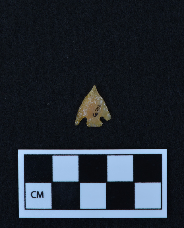 Corner notched, one damaged ear