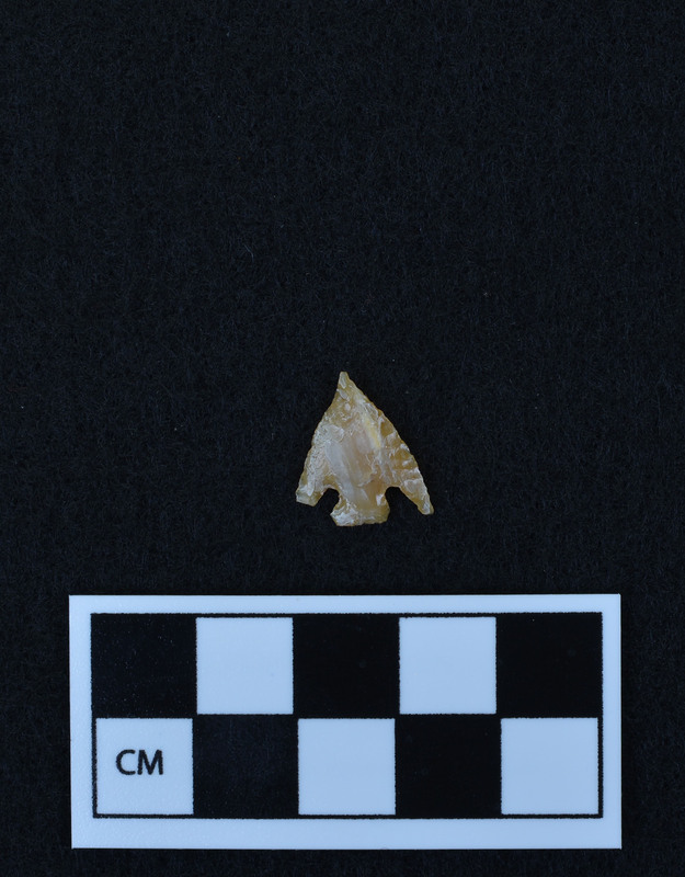 Corner notched, one damaged ear