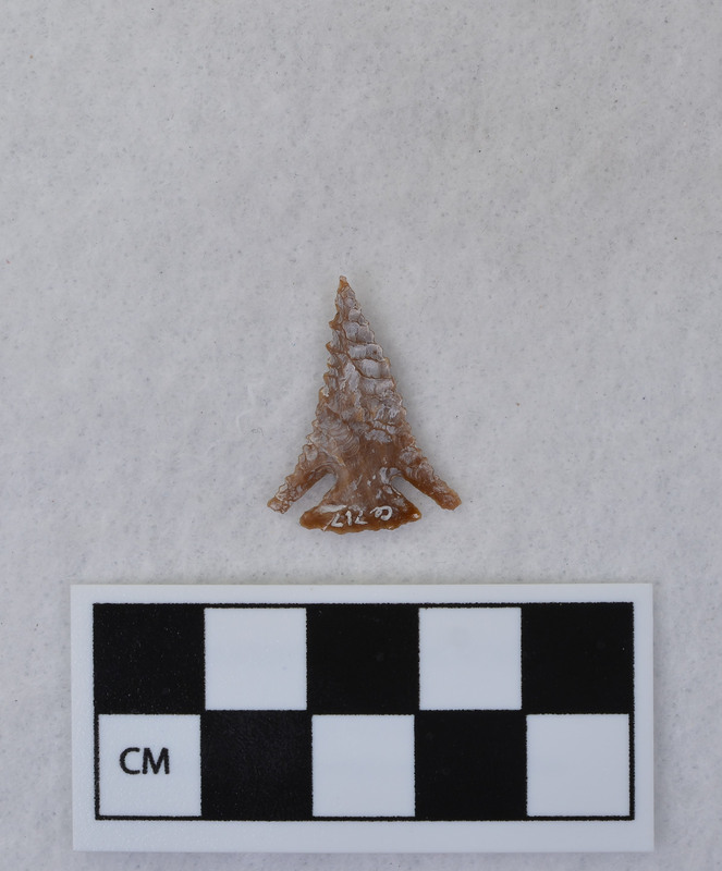 Serrated, corner notched