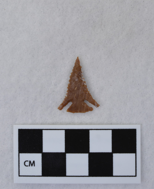 Serrated, corner notched