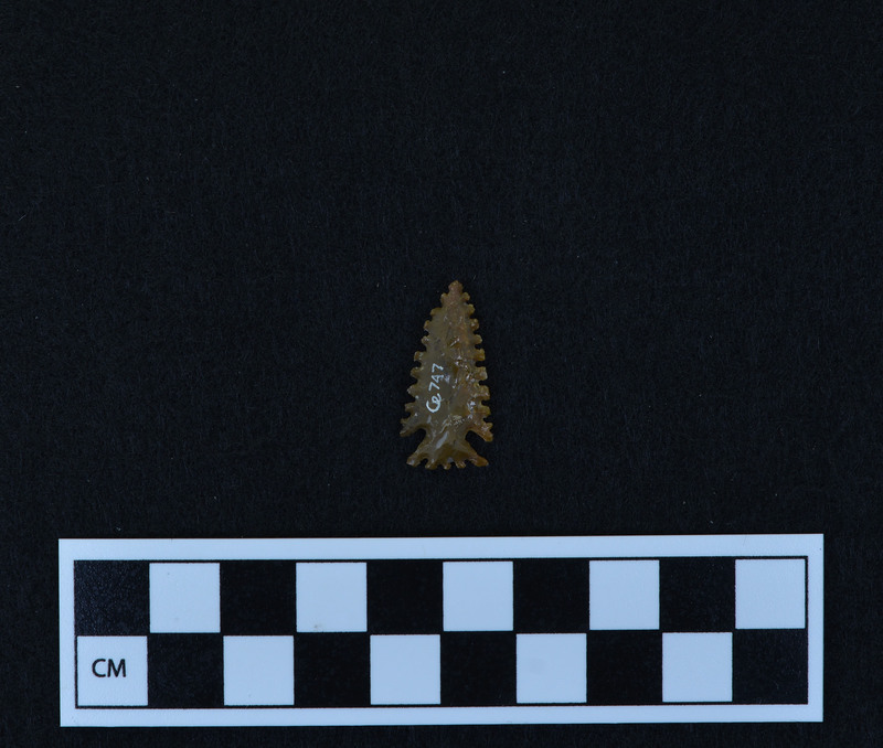 Serrated, corner notched