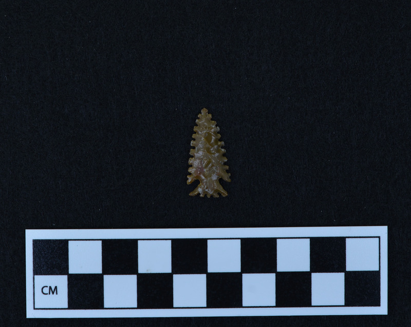 Serrated, corner notched