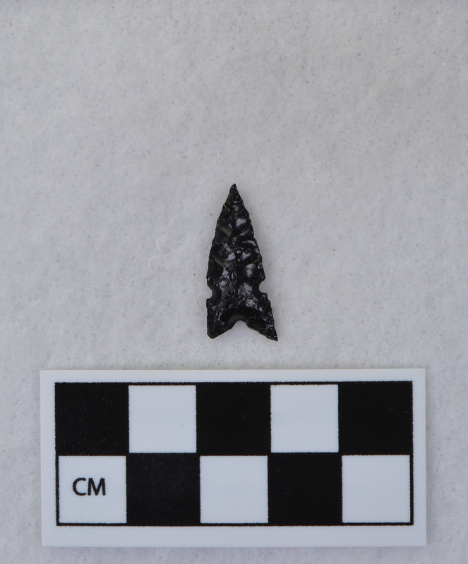 Similar to Desert side notched