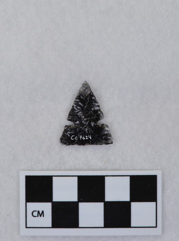 Side notched, similar to Desert side notched