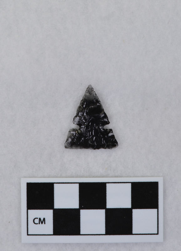 Side notched, similar to Desert side notched