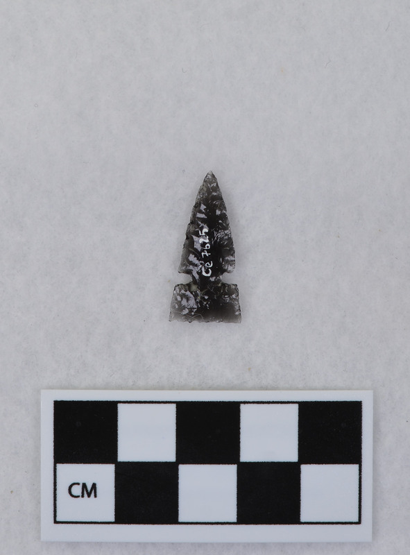 Side notched, similar to Desert side notched